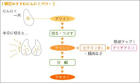 ニンニクの成分について