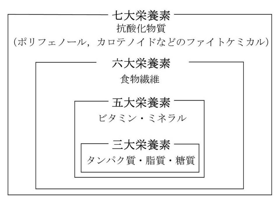 栄養素　全体図