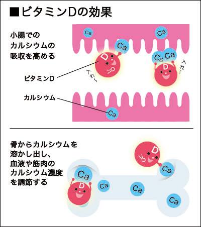 ビタミンDの効果 この画像はこちらのHPより転載させていただきました。