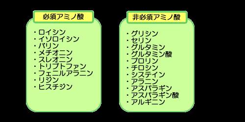 アミノ酸　全体図