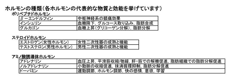 ホルモン種類　画像