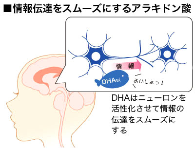 この画像はこちらのHPより転載させていただきました。