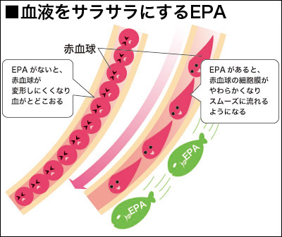 この画像はこちらのHPより転載させていただきました。